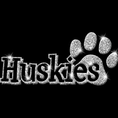 GLT17 SILVER GLITTER Thumbnail